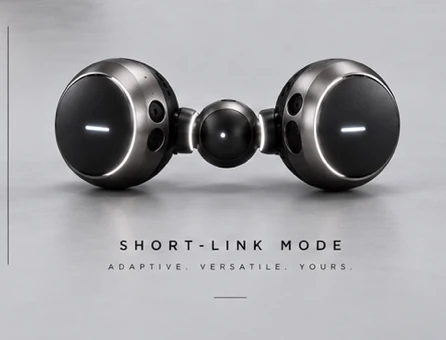 NIRVANA short-link mode